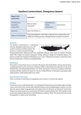 Southern Lanternshark, Etmopterus Baxteri