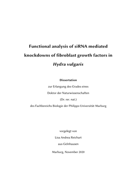Functional Analysis of Sirna Mediated Knockdowns of Fibroblast Growth Factors in Hydra Vulgaris