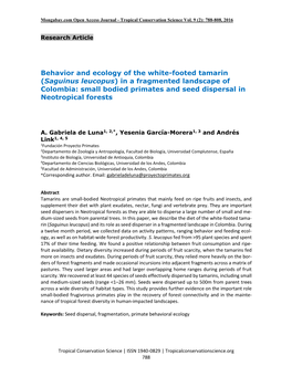 Behavior and Ecology of the White-Footed Tamarin (Saguinus Leucopus) in a Fragmented Landscape of Colombia