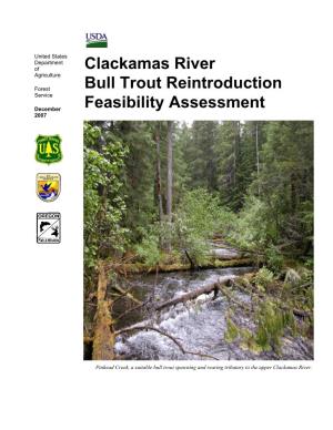 Clackamas River Bull Trout Reintroduction Feasibility Assessment