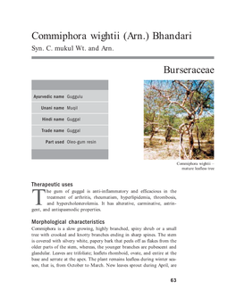 Commiphora Wightii (Arn.) Bhandari.Pdf
