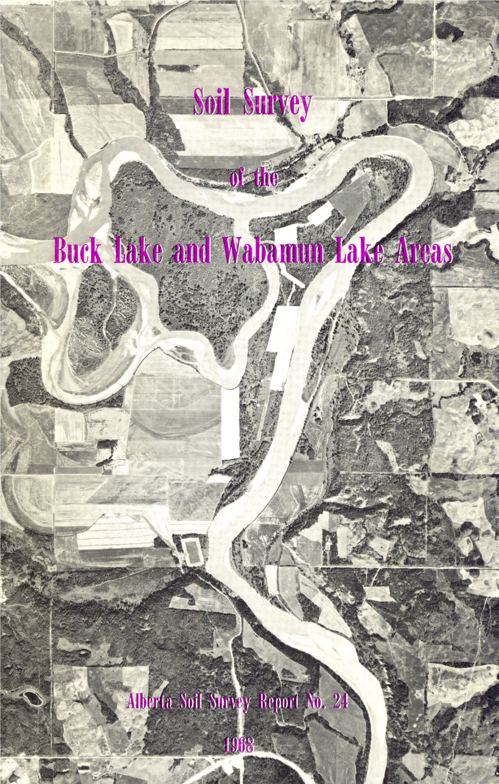 Reconnaissance Soil Survey of the Buck Lake
