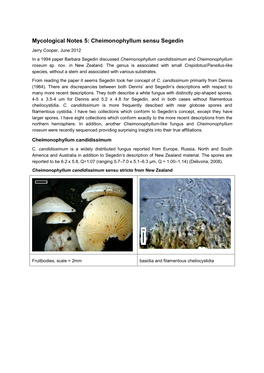 Mycological Notes 5: Cheimonophyllum Sensu Segedin