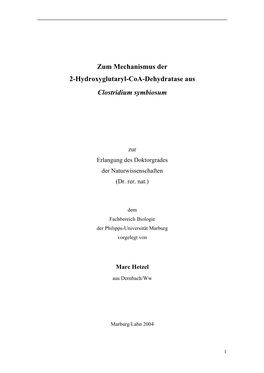 Zum Mechanismus Der 2-Hydroxyglutaryl-Coa-Dehydratase Aus Clostridium Symbiosum