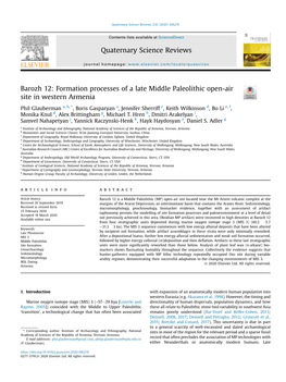 Formation Processes of a Late Middle Paleolithic Open-Air Site in Western Armenia