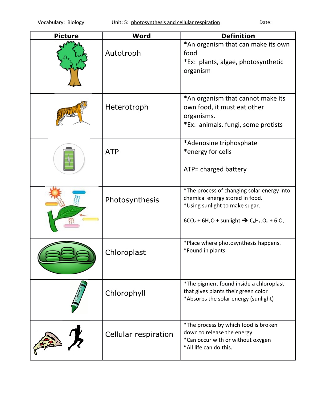 Vocabulary: Biology Unit: 5: Photosynthesis and Cellular Respiration Date