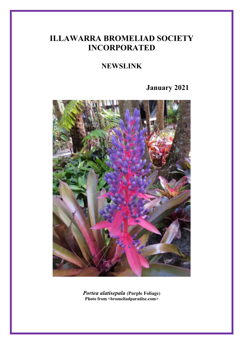 Illawarra Bromeliad Society Incorporated