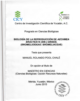 Centro De Investigación Científica De Yucatán, A.C. Posgrado En Ciencias Biológicas BIOLOGÍA DE LA REPRODUCCIÓN DE AECHMEA