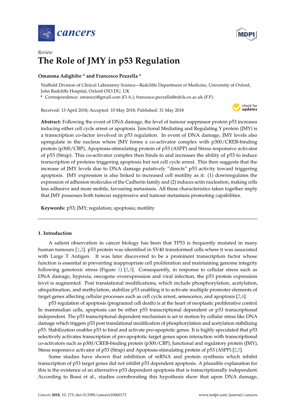 The Role of JMY in P53 Regulation