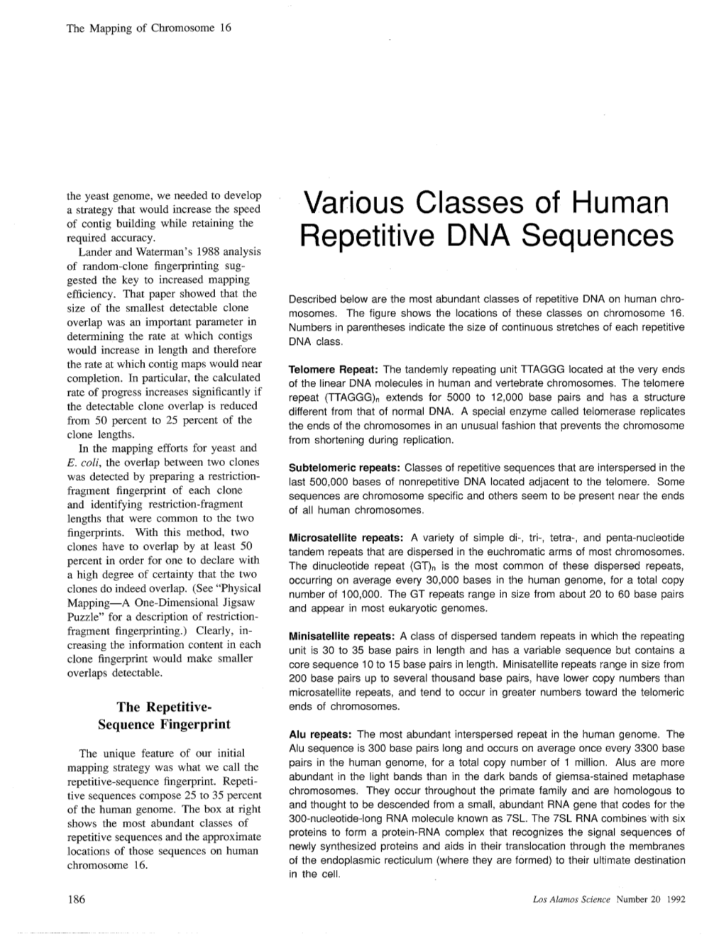 Various Classes of Human Repetitive DNA Sequences