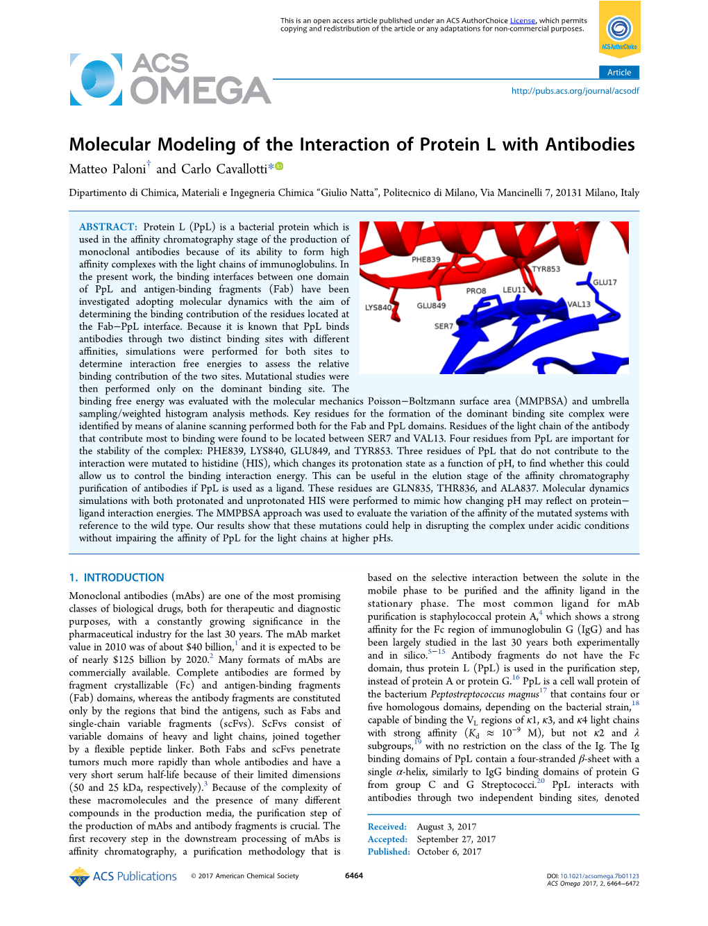 Molecular Modeling of the Interaction of Protein L with Antibodies Matteo Paloni† and Carlo Cavallotti*