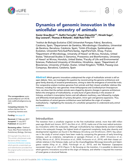 Dynamics of Genomic Innovation in the Unicellular Ancestry Of