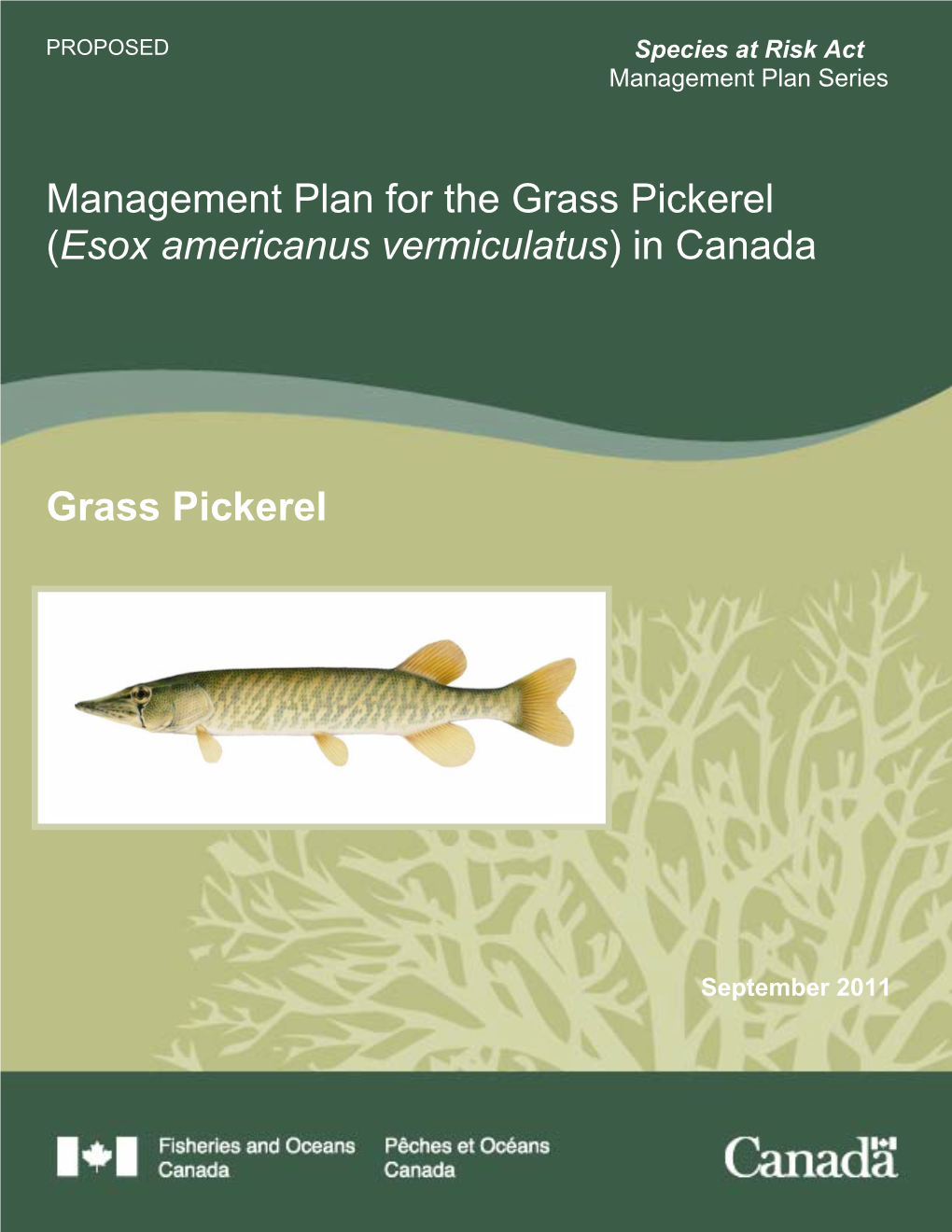 Management Plan for the Grass Pickerel (Esox Americanus Vermiculatus) in Canada