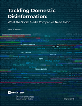Tackling Domestic Disinformation: What the Social Media Companies Need to Do