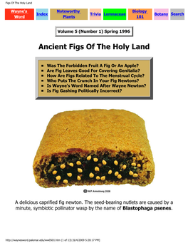 Figs of the Holy Land