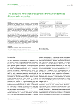 The Complete Mitochondrial Genome from an Unidentified