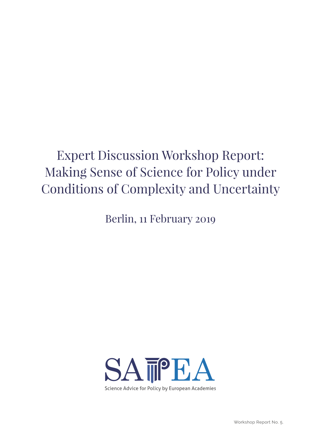 Expert Discussion Workshop Report: Making Sense of Science for Policy Under Conditions of Complexity and Uncertainty