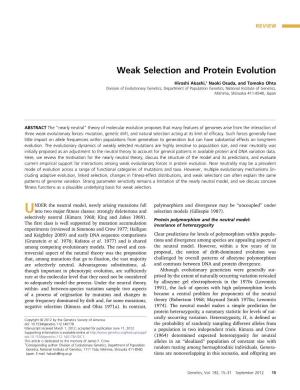 Weak Selection and Protein Evolution