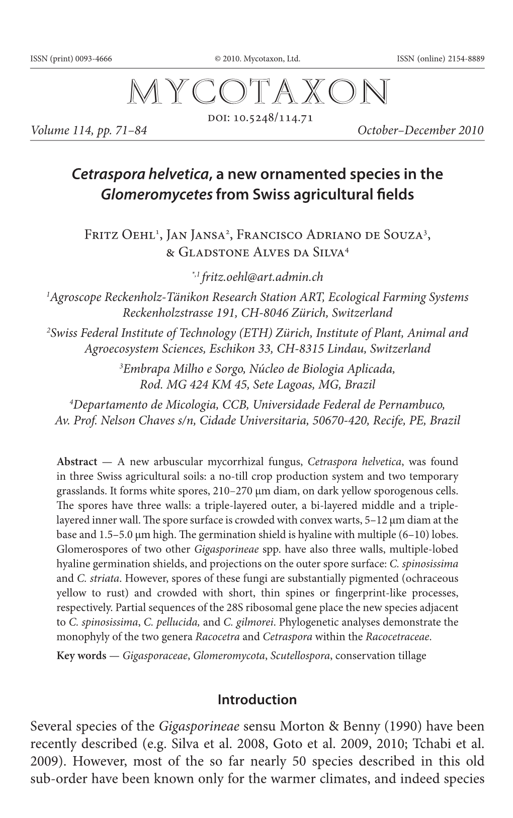 <I>Cetraspora Helvetica</I>, a New Ornamented Species in the <I