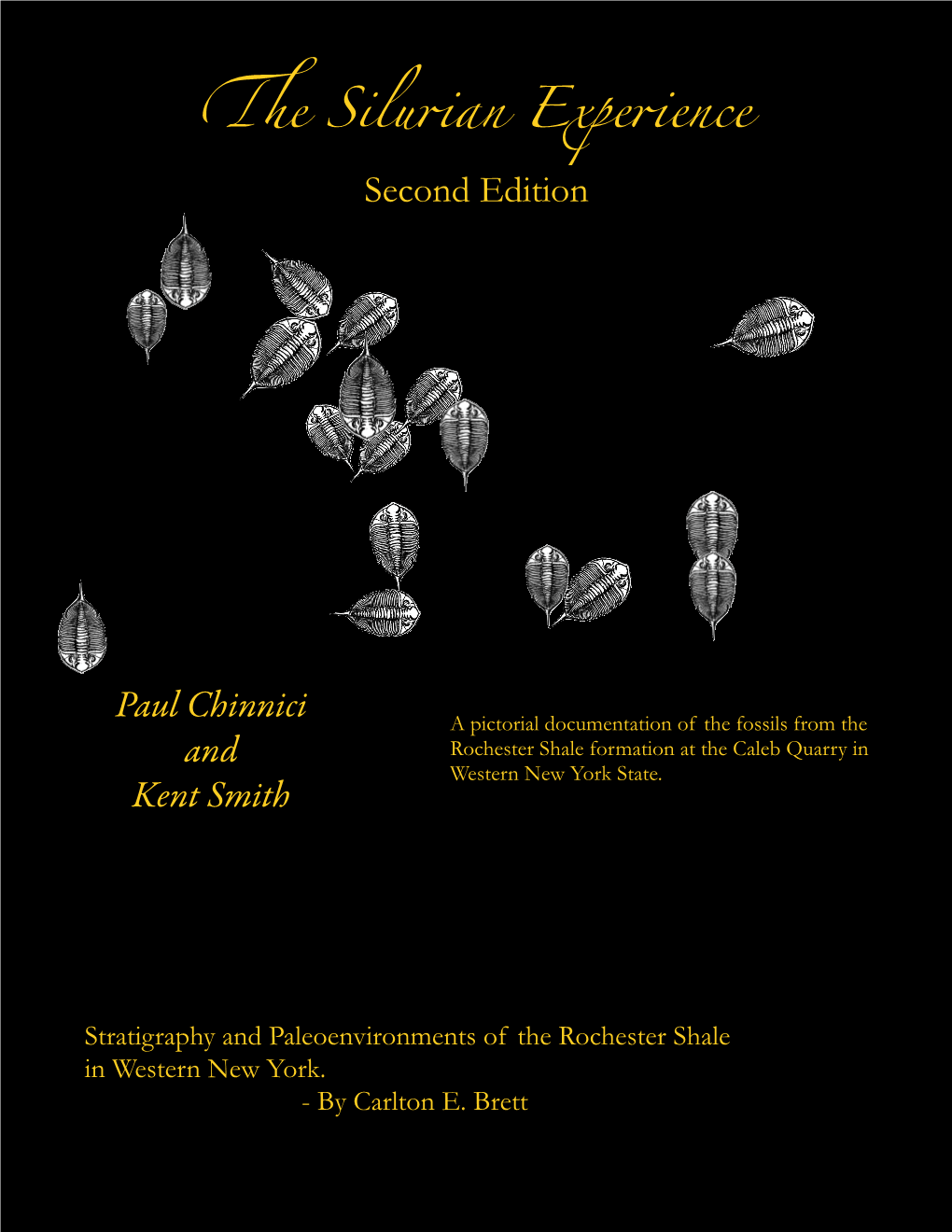 Stratigraphy and Paleoenvironments of the Rochester Shale in Western New York