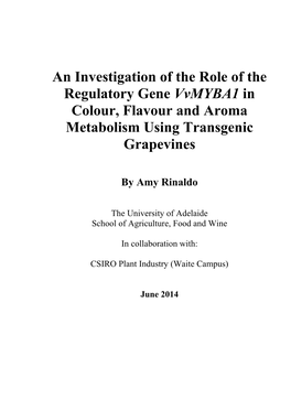 An Investigation of the Role of the Regulatory Gene Vvmyba1 in Colour, Flavour and Aroma Metabolism Using Transgenic Grapevines