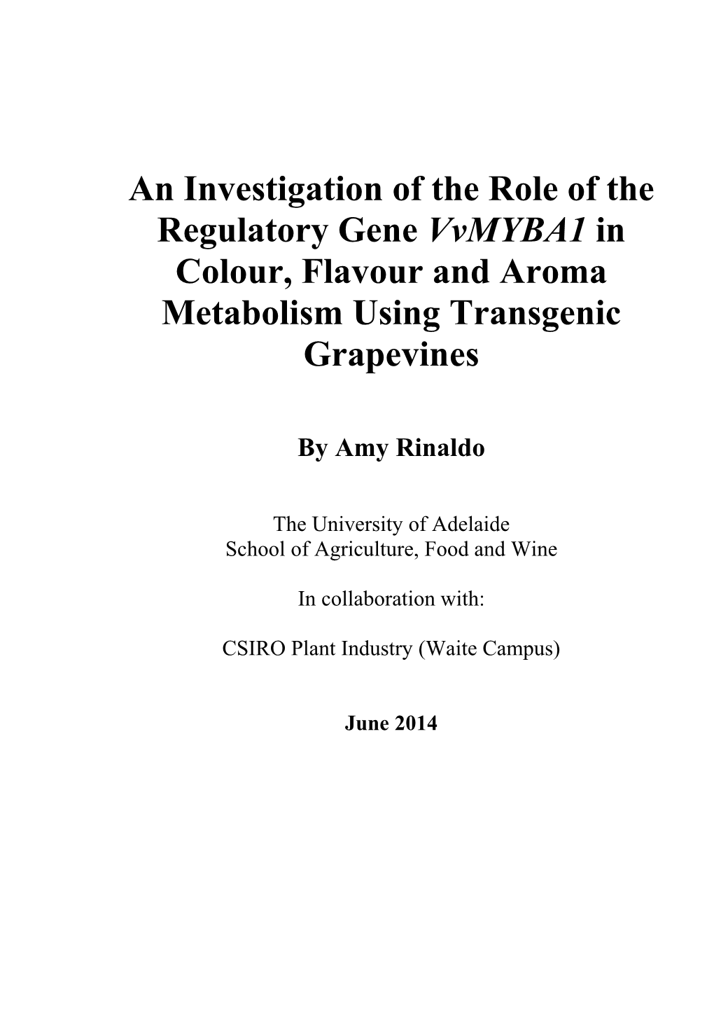 An Investigation of the Role of the Regulatory Gene Vvmyba1 in Colour, Flavour and Aroma Metabolism Using Transgenic Grapevines