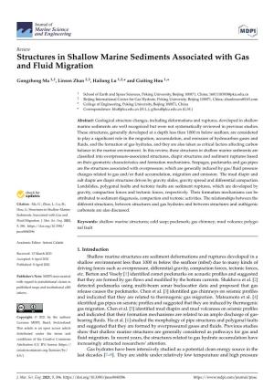 Structures in Shallow Marine Sediments Associated with Gas and Fluid Migration