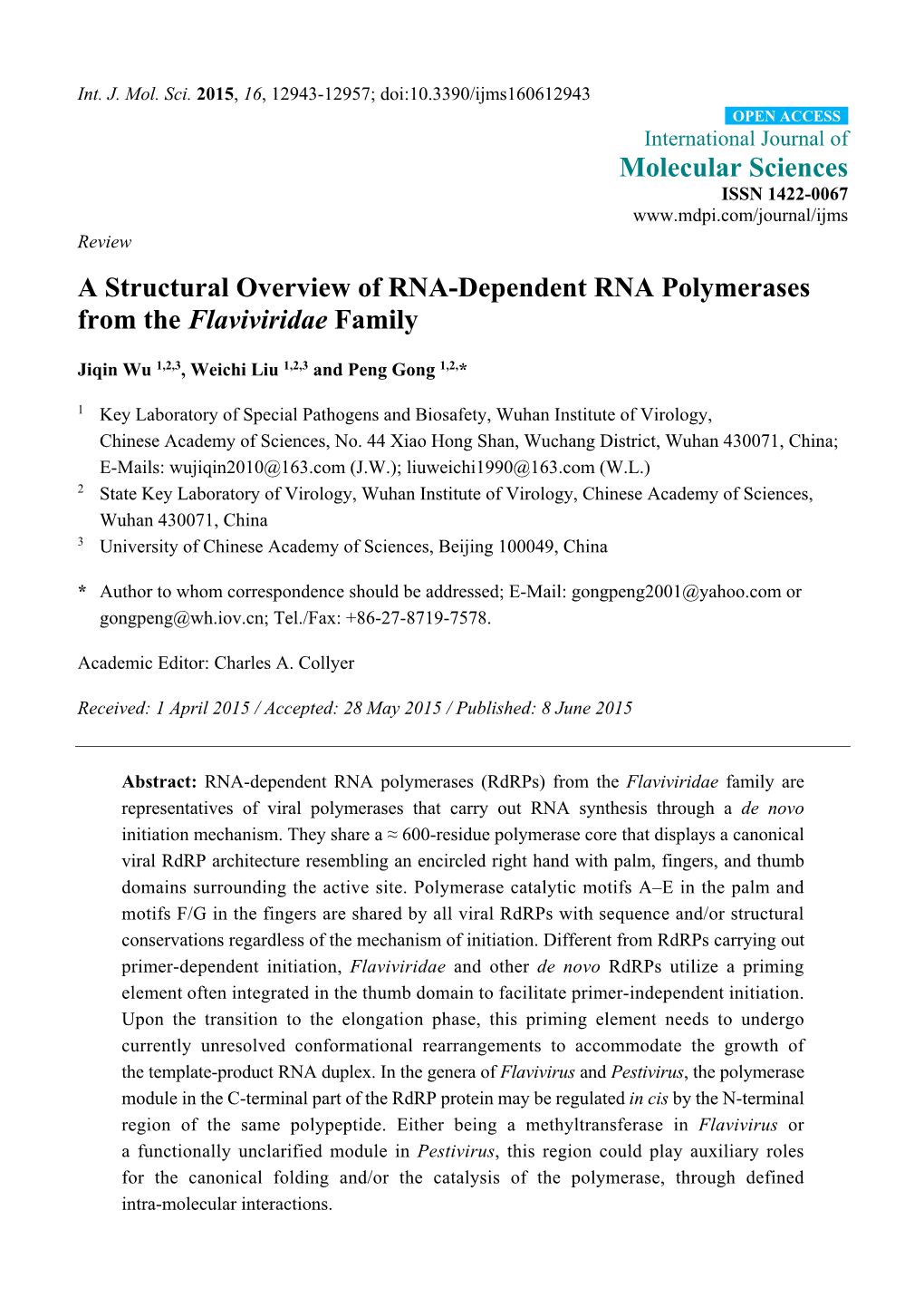 A Structural Overview of RNA-Dependent RNA Polymerases from the Flaviviridae Family