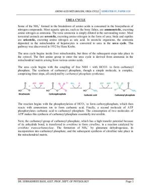 Amino Acid Metabolism, Urea Cycle Semester Iv, Paper Cc8