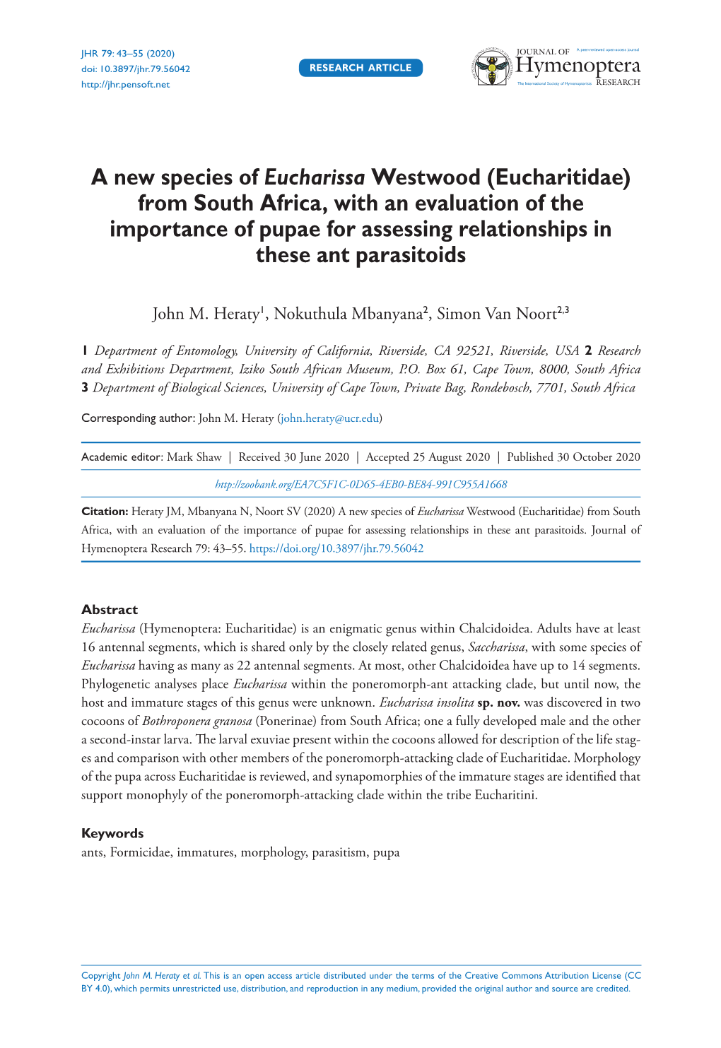 Eucharitidae) from South Africa, with an Evaluation of the Importance of Pupae for Assessing Relationships in These Ant Parasitoids