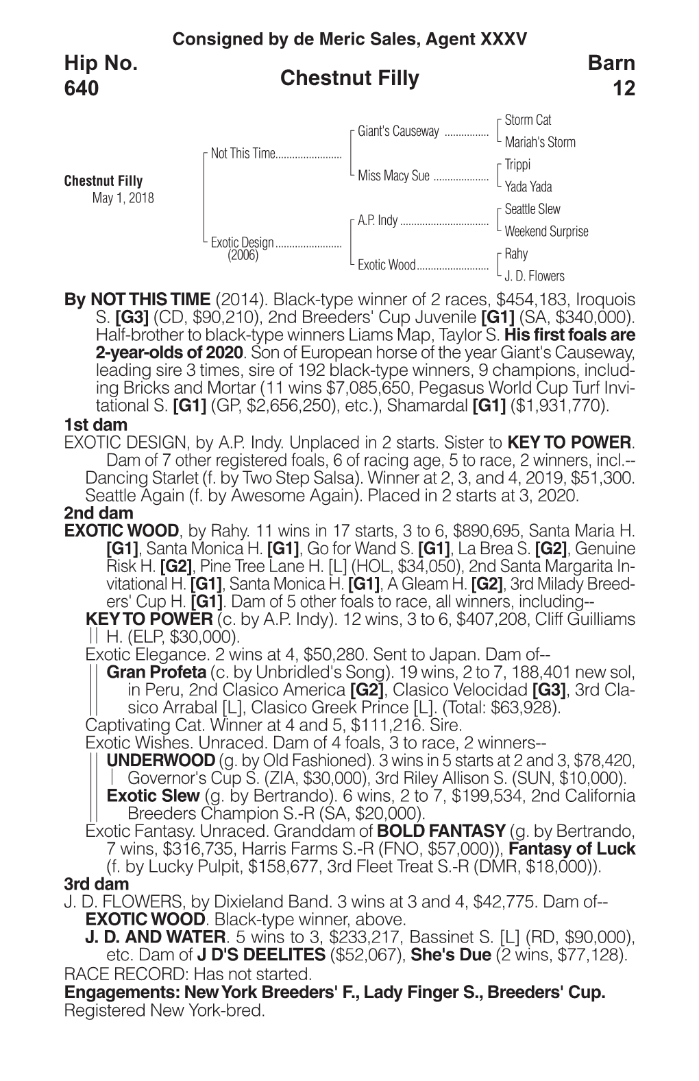 Chestnut Filly Barn 12 Hip No