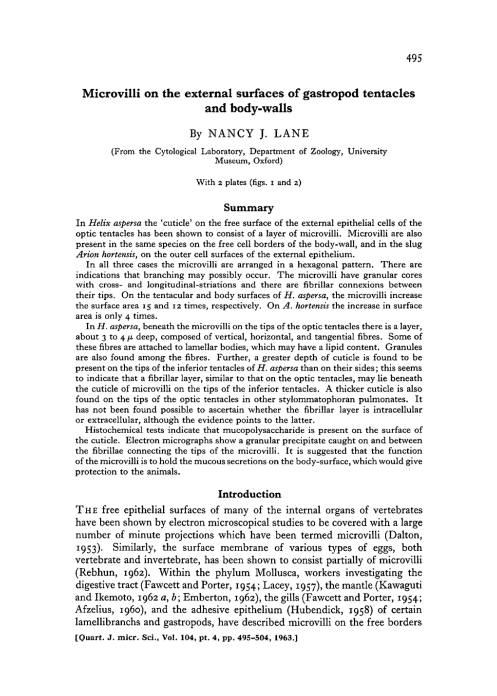 Microvilli on the External Surfaces of Gastropod Tentacles and Body-Walls by NANCY J. LANE