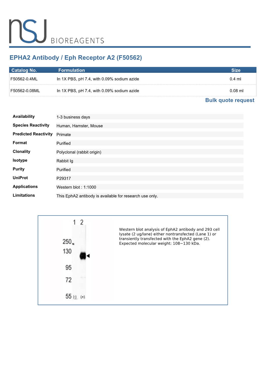 EPHA2 Antibody / Eph Receptor A2 (F50562)