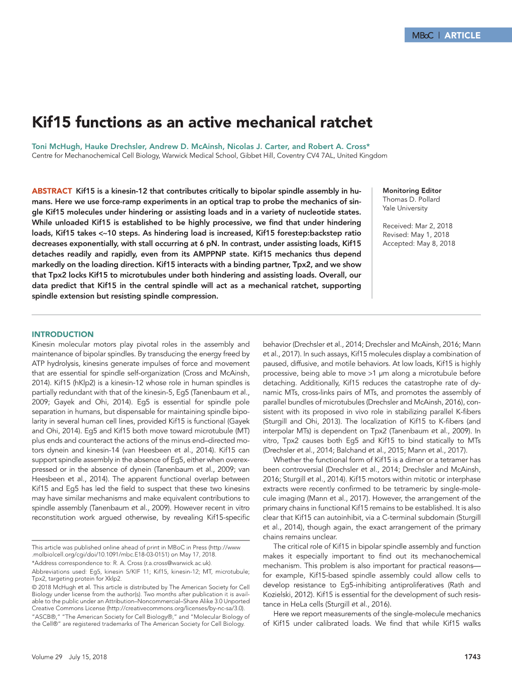 Kif15 Functions As an Active Mechanical Ratchet