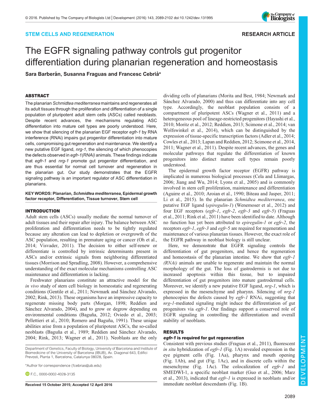 The EGFR Signaling Pathway Controls Gut Progenitor Differentiation During Planarian Regeneration and Homeostasis Sara Barberán, Susanna Fraguas and Francesc Cebria*̀