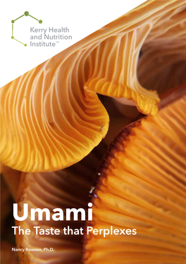 Umami the Taste That Perplexes