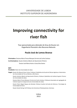 Improving Connectivity for River Fish
