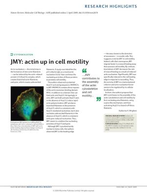 JMY: Actin up in Cell Motility Migrate Faster in a Wound Healing Assay That Assesses Cell Motility