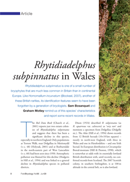 Rhytidiadelphus Subpinnatus in Wales