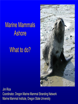 Marine Mammal Strandings Objectives of Response