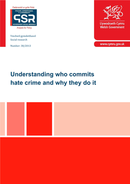 Understanding-Who-Commits-Hate-Crime-And-Why-They-Do-It-En.Pdf