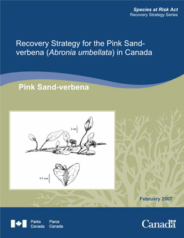 Recovery Strategy for the Pink Sand-Verbena (Abronia Umbellata) in Canada