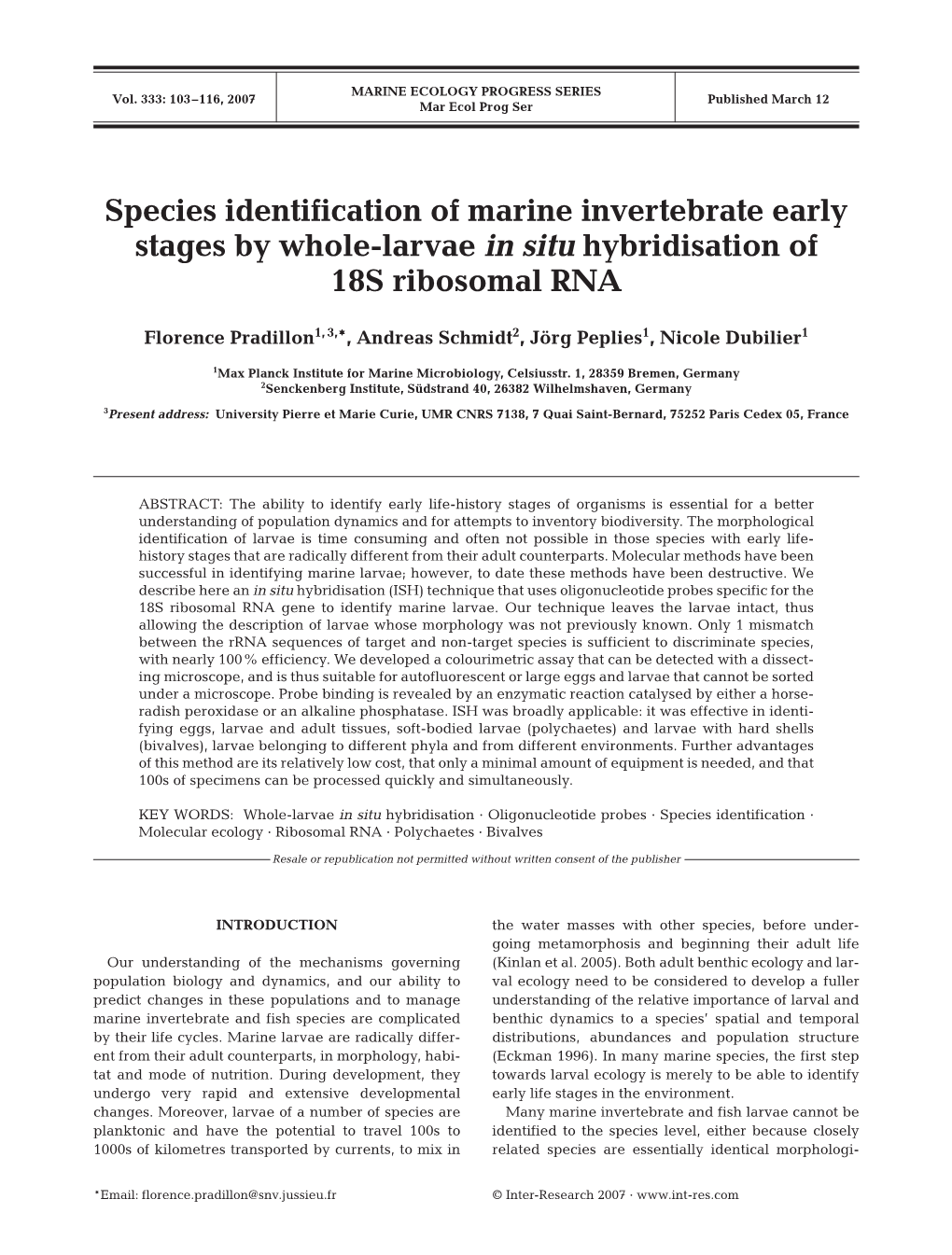 Species Identification of Marine Invertebrate Early Stages by Whole-Larvae in Situ Hybridisation of 18S Ribosomal RNA