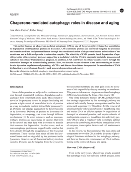 Chaperone-Mediated Autophagy: Roles in Disease and Aging Cell Research (2014) 24:92-104