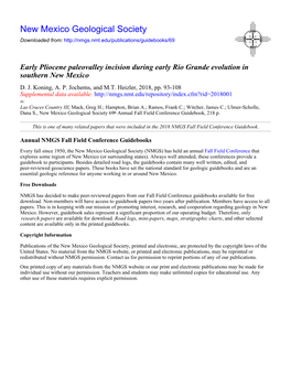 Early Pliocene Paleovalley Incision During Early Rio Grande Evolution in Southern New Mexico D