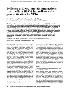 Evidence of DNA : Protein Interactions That Mediate HSV-1 Immediate Early Gene Activation by VP16