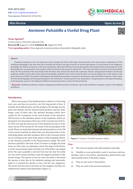 Anemone Pulsatilla a Useful Drug Plant
