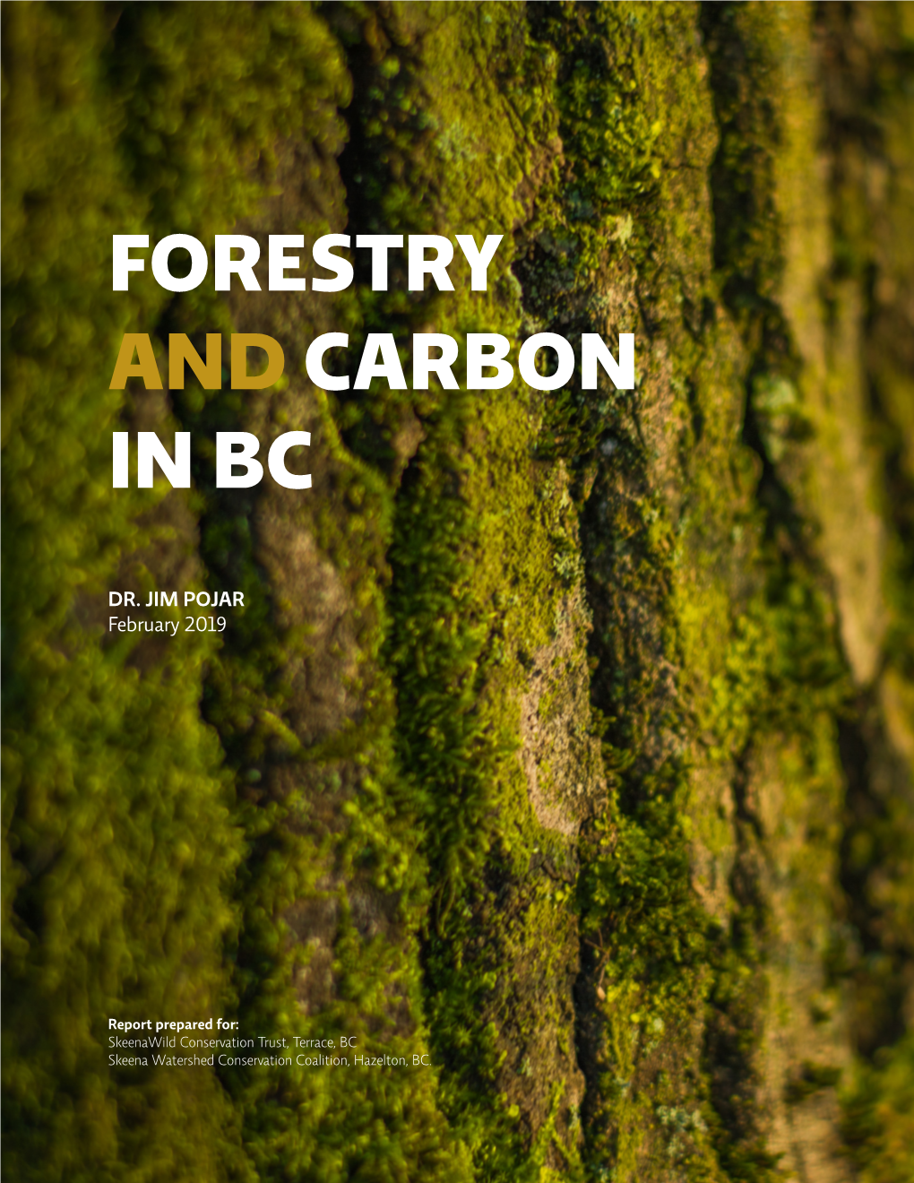 Forestry and Carbon in Bc