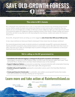 Old-Growth Forest Fact Sheet