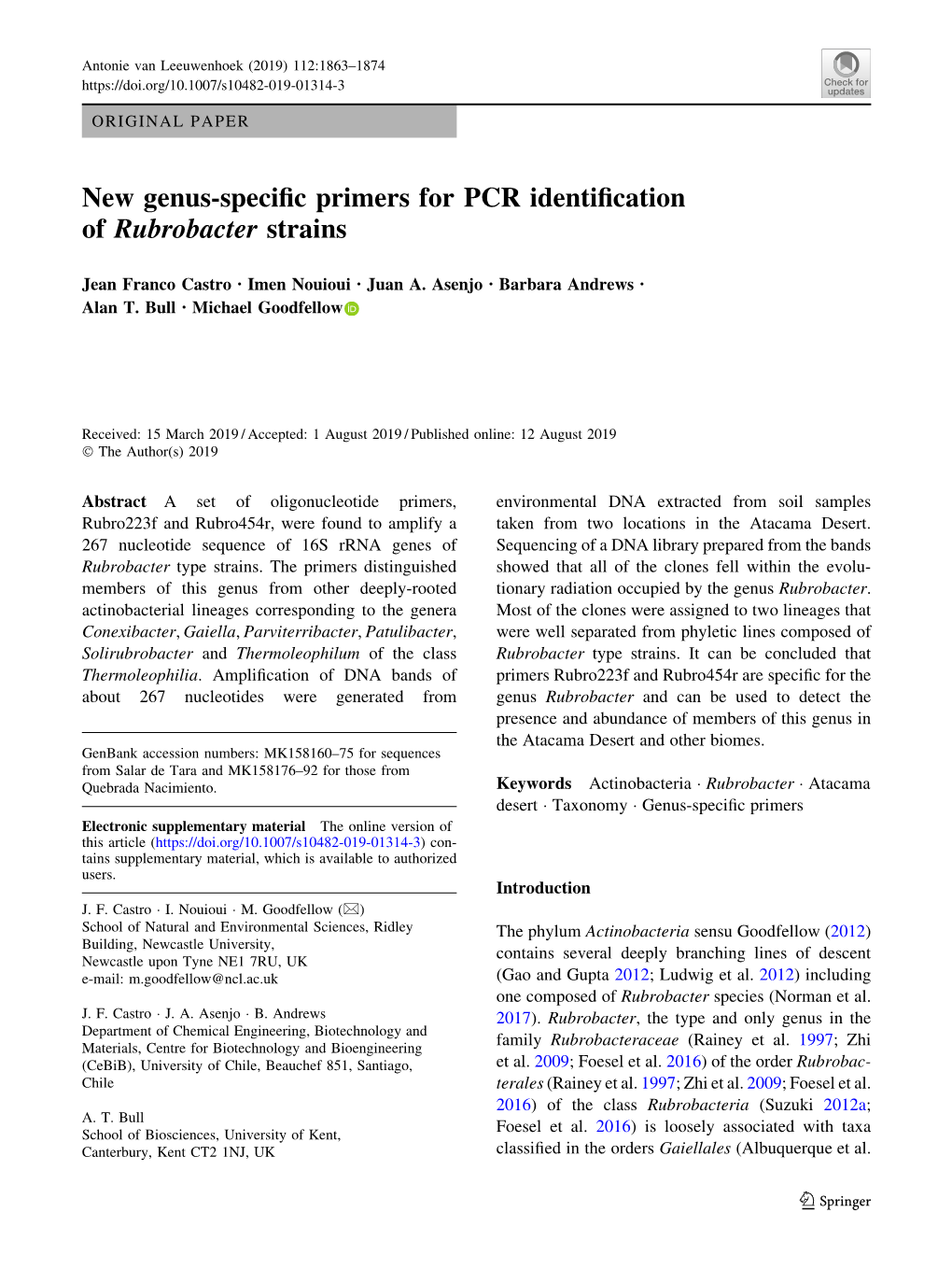 New Genus-Specific Primers for PCR Identification of Rubrobacter Strains